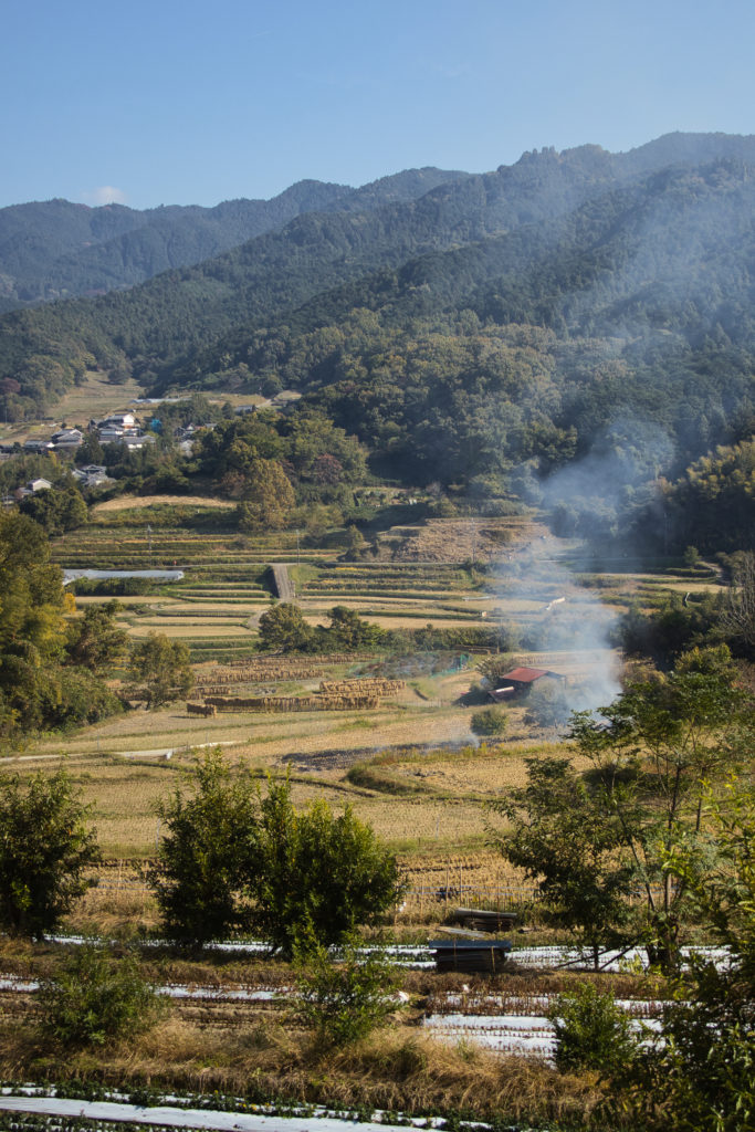 画像に alt 属性が指定されていません。ファイル名: IMG_2913-683x1024.jpg